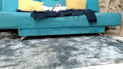 sarita_klein online show from March 2, 2026, 2:24 pm