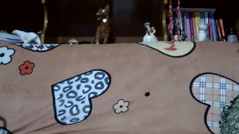 Sarra online show from December 7, 2024, 8:27 pm