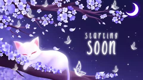 Snapshot of sassykittyn chatting on October 21, 2025, 5:08 am Sassy Sami Kittyn online show from October 21, 2025, 5:08 am