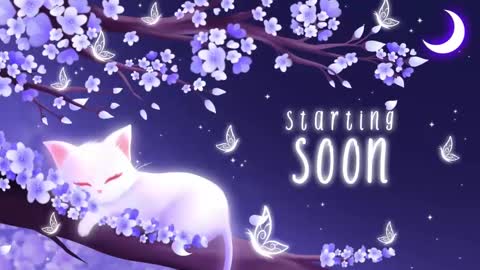 Snapshot of sassykittyn chatting on November 4, 2025, 6:23 am Sassy Sami Kittyn online show from November 4, 2025, 6:23 am