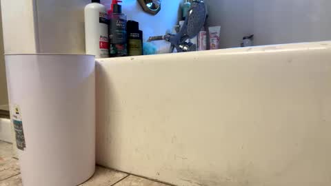 Snapshot of saucy_latino chatting on March 1, 2026, 11:40 pm ElVergone online show from March 1, 2026, 11:40 pm