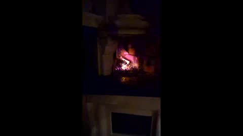 savlan online show from March 28, 2026, 2:11 am