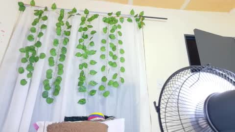 savory_pussy18 online show from March 19, 2026, 11:47 am