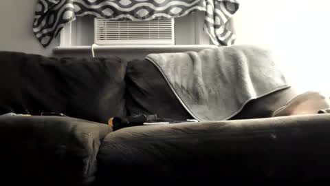 Snapshot of sayhi2mylilguy chatting on March 9, 2025, 8:07 am sayhi2mylilguy online show from March 9, 2025, 8:07 am