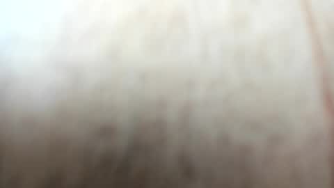 Snapshot of sayo_mao18 chatting on September 24, 2025, 1:53 am sayo_mao18 online show from September 24, 2025, 1:53 am