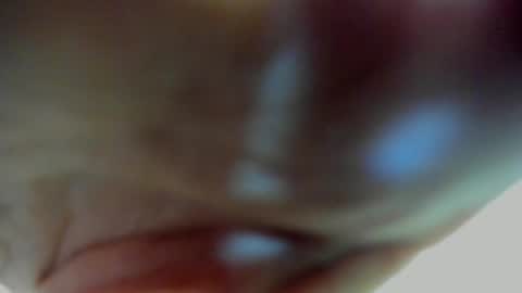 Scarlett zin follow me online show from March 27, 2026, 4:51 pm