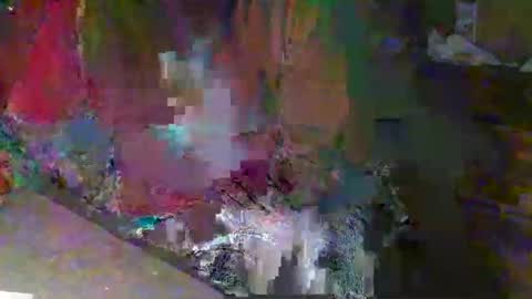 Snapshot of scotthard chatting on November 23, 2025, 12:49 pm scotthard online show from November 23, 2025, 12:49 pm