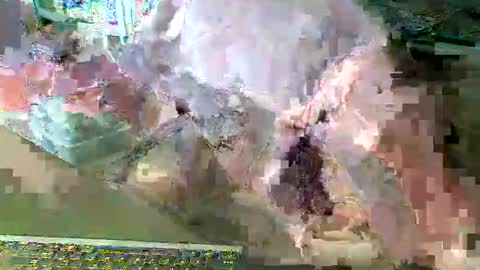 Snapshot of scotthard chatting on March 14, 2026, 6:57 pm scotthard online show from March 14, 2026, 6:57 pm
