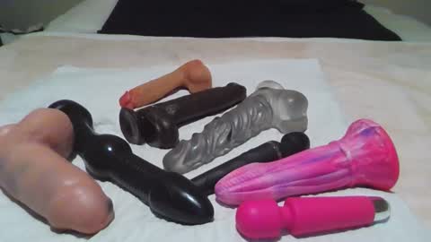 Snapshot of sdbeachfreaks chatting on November 2, 2025, 5:43 am SDBeachfreaks online show from November 2, 2025, 5:43 am