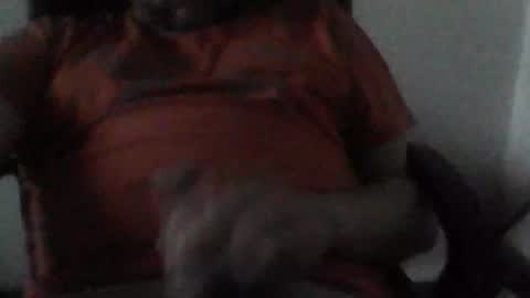 Snapshot of sebo123456 chatting on December 25, 2024, 3:06 pm sebo123456 online show from December 25, 2024, 3:06 pm