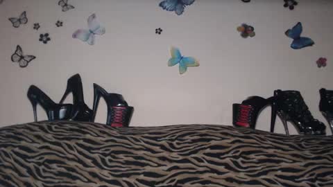 Snapshot of secoiya chatting on February 20, 2025, 8:58 pm Emily online show from February 20, 2025, 8:58 pm