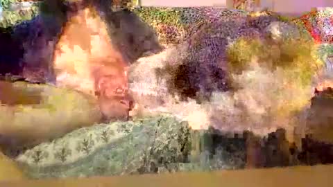 Dirty13 online show from November 30, 2025, 7:07 pm