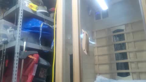 Seeker online show from October 26, 2025, 11:09 pm