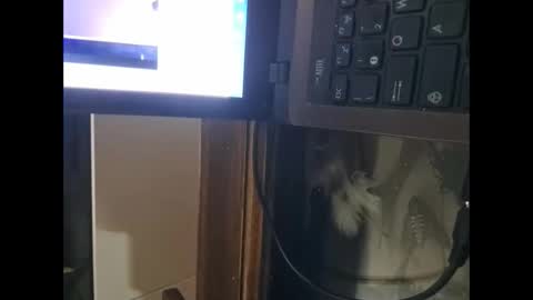 segaiolo21cm online show from April 13, 2026, 9:31 pm