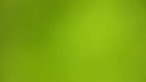 sens3439 online show from December 2, 2025, 8:08 am