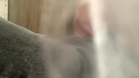 serpenttiin online show from September 23, 2025, 7:55 am