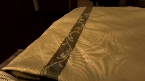 Snapshot of sevenorder chatting on January 21, 2025, 6:43 am sevenorder online show from January 21, 2025, 6:43 am