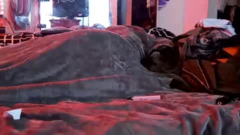 Sydney Mae online show from January 29, 2025, 7:22 pm