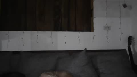 Snapshot of sexnchocolate chatting on January 11, 2025, 5:41 am Trixy Rose online show from January 11, 2025, 5:41 am