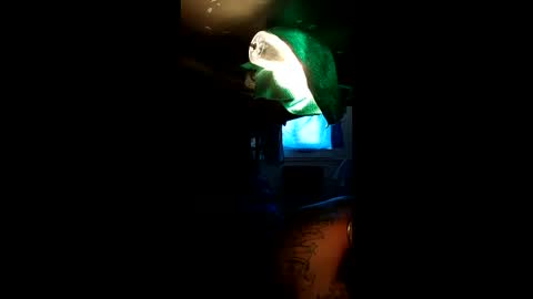 sextyplayboy online show from April 4, 2026, 7:44 pm