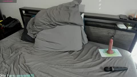 SexyAriel15 online show from April 4, 2026, 4:04 pm