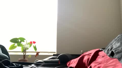 sexyhornyman1993 online show from June 2, 2026, 5:59 pm
