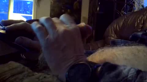 Snapshot of sgthard260486 chatting on February 9, 2026, 6:28 am sgthard260486 online show from February 9, 2026, 6:28 am