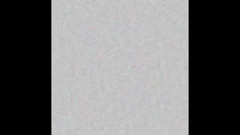 Shane  Shiloh online show from February 2, 2026, 2:21 am