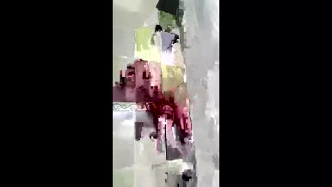 shanelle7 online show from January 17, 2026, 12:10 pm