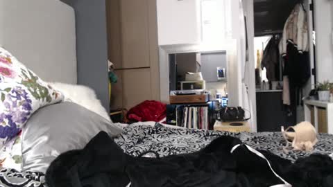 Shannon07 online show from January 13, 2025, 2:50 am