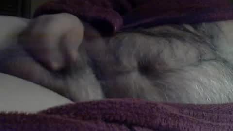 Sharkey644 online show from March 3, 2026, 9:04 am