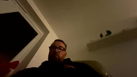 Sharksboy online show from November 16, 2025, 8:25 pm