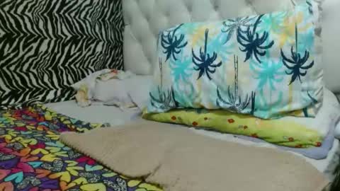 Snapshot of sharlot03 chatting on February 7, 2025, 11:56 am sharlot03 online show from February 7, 2025, 11:56 am