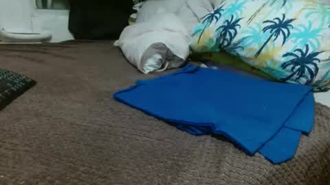 Snapshot of sharlot03 chatting on February 10, 2025, 10:53 am sharlot03 online show from February 10, 2025, 10:53 am