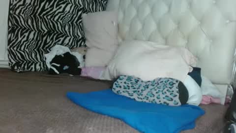 Snapshot of sharlot03 chatting on March 11, 2025, 12:28 pm sharlot03 online show from March 11, 2025, 12:28 pm