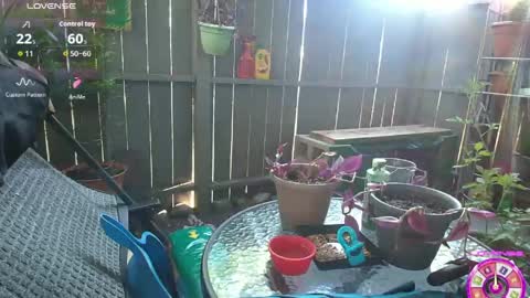 sheilyn_smith online show from June 2, 2026, 2:02 am