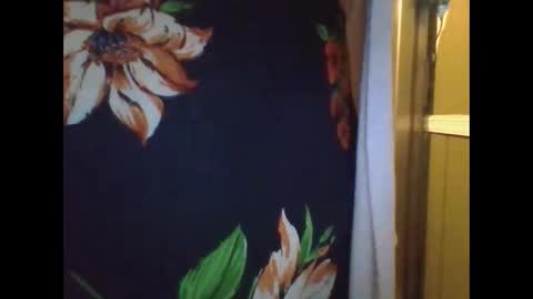 Snapshot of shelbyannn chatting on December 10, 2024, 3:20 am Red online show from December 10, 2024, 3:20 am