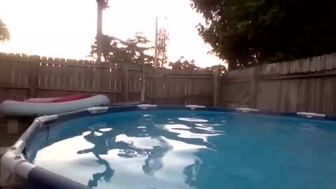 Snapshot of shelbyannn chatting on September 19, 2025, 11:16 pm Red online show from September 19, 2025, 11:16 pm