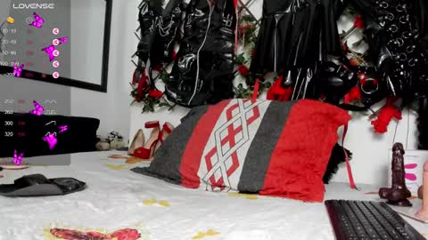 Snapshot of shengyi_blue chatting on December 29, 2024, 9:17 am anyela7773 online show from December 29, 2024, 9:17 am