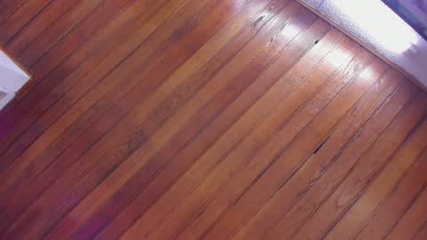 mia online show from January 13, 2025, 2:11 pm