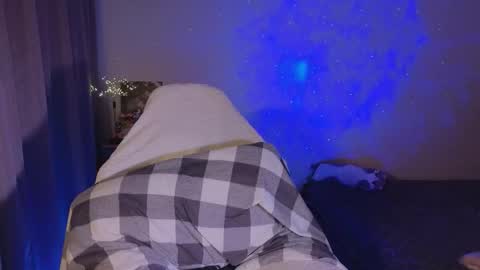 Sheyli online show from February 1, 2026, 5:11 pm