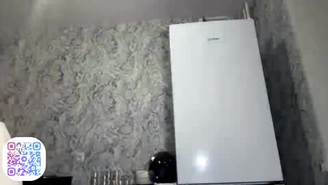 Snapshot of shonnalyssy chatting on April 11, 2026, 7:29 pm Your Shona online show from April 11, 2026, 7:29 pm