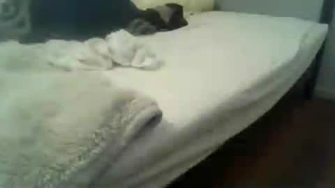showherenow online show from July 29, 2026, 8:34 am