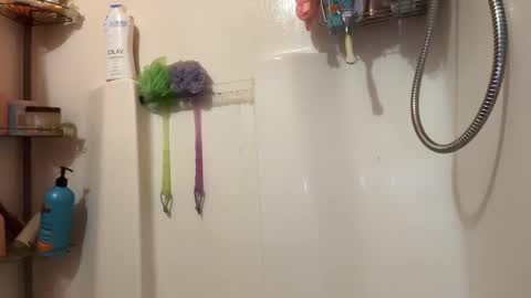 Snapshot of shyg1r1 chatting on January 1, 2025, 10:56 pm Sasha online show from January 1, 2025, 10:56 pm