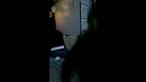 Snapshot of shylom chatting on February 15, 2026, 5:26 am shylom online show from February 15, 2026, 5:26 am