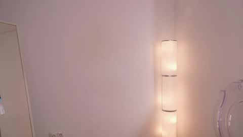 Snapshot of silent_chill chatting on January 24, 2025, 2:51 pm Chilli online show from January 24, 2025, 2:51 pm