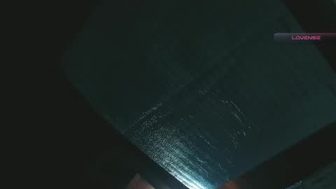 silvabranko online show from April 27, 2026, 2:09 am