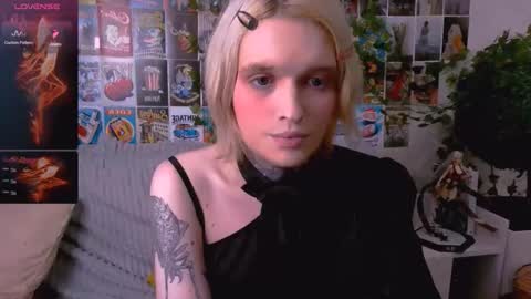 Simona online show from November 15, 2025, 12:23 pm