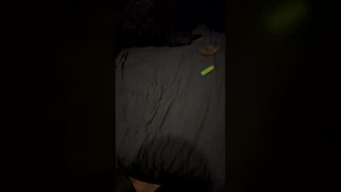 Snapshot of simsimeon chatting on March 1, 2026, 1:35 pm simsimeon online show from March 1, 2026, 1:35 pm