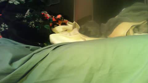 Snapshot of sinseason chatting on November 11, 2025, 8:14 am Sinseason online show from November 11, 2025, 8:14 am